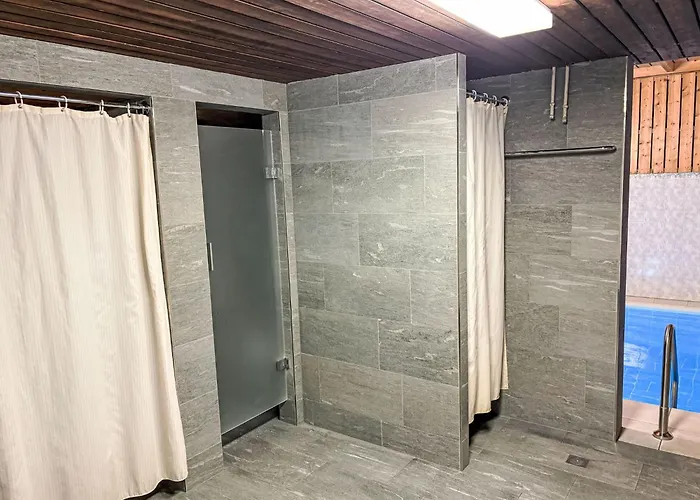 B 098 By Interhome Appartement Disentis